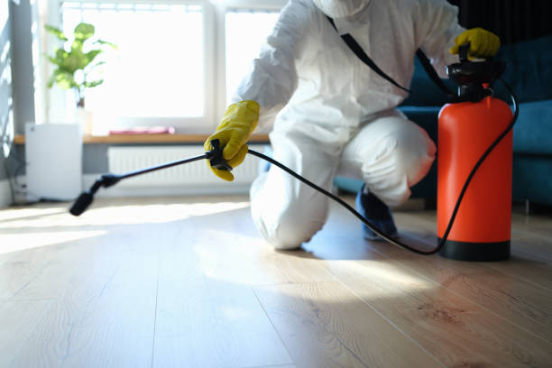 Reliable Infectious Disease Decontamination contractor in Hilo, HI by Crime Scene Cleaner Online